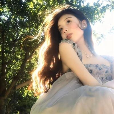廿载风流梦