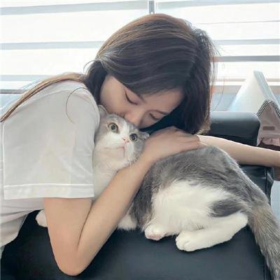 欢乐颂3