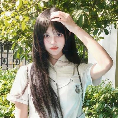 双龙会粤语